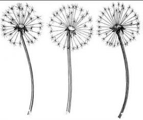 Hand painted dandelions vector illustrations