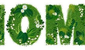 Home floral letters vector