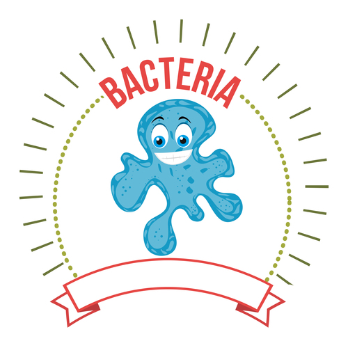 I am a bacteria vector