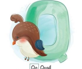 Look at the picture literacy Q letter vector