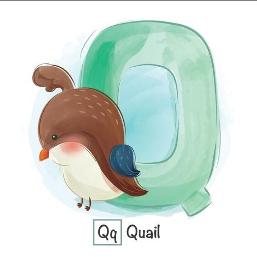Look at the picture literacy Q letter vector