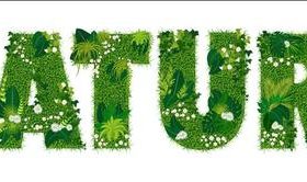 Nature floral letters vector