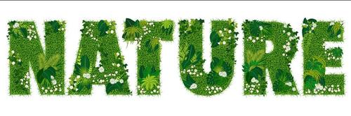 Nature floral letters vector