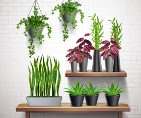 Ornamental green flower vector