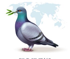 Pigeon realistic illustrations vector