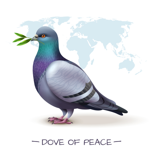 Pigeon realistic illustrations vector