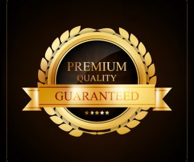 Premium quality label vector