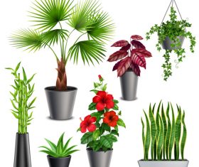 Realistic room flowers vector