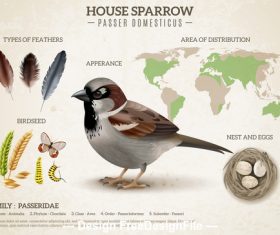 Sparrow distribution information vector