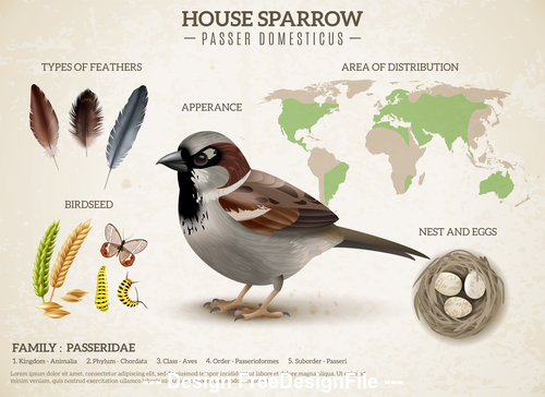 Sparrow distribution information vector