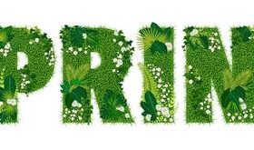 Spring floral letters vector
