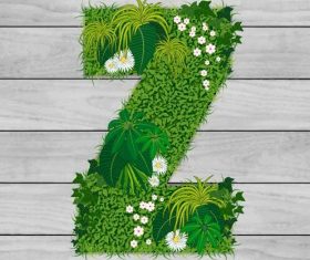 Z floral letters vector