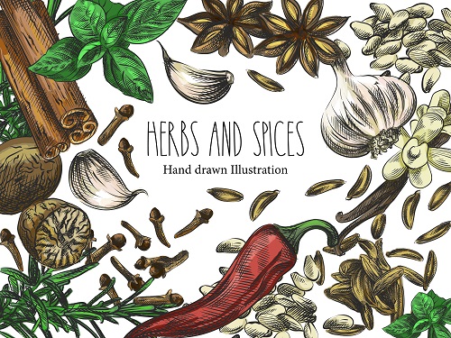 Herbs and Spices Banner Design Vector