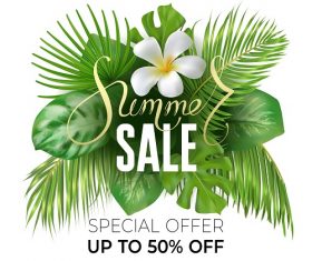 Summer Sale Special Offer Poster Vector