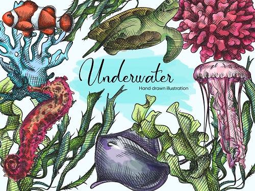 Under Water Species Design Vector