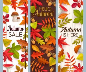 Autumn banner vector