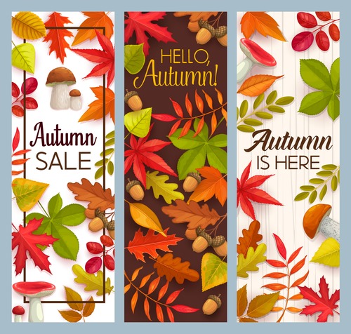 Autumn banner vector