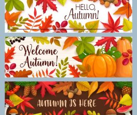 Autumn is here banner vector