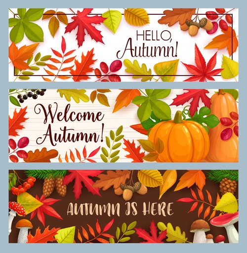 Autumn is here banner vector