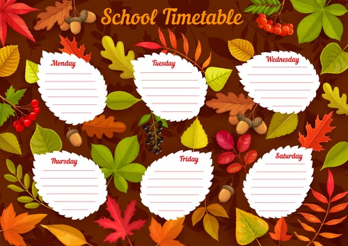 Autumn school tumetable card vector