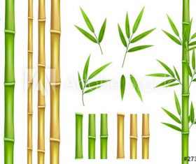 Bamboo leaves bamboo vector illustration