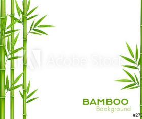 Bamboo vector illustration