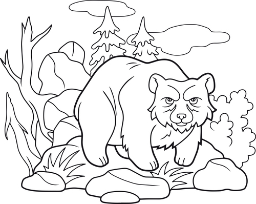 Bear and Nature Illustrations coloring book vector