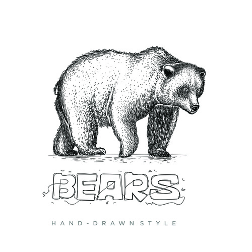 Bear hand drawing illustration black and white vector