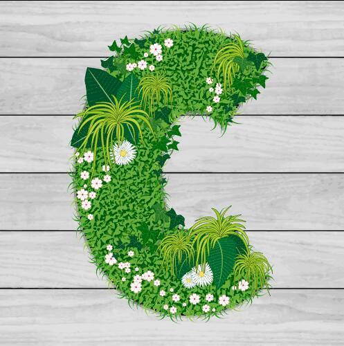 Blooming grass letter C shape vector
