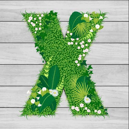 Blooming grass letter X shape vector