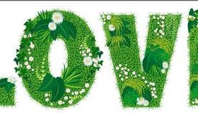 Blooming grass love font style vector