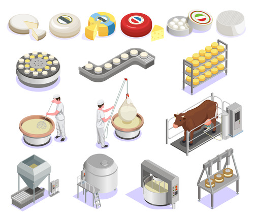 Cheese production process vector