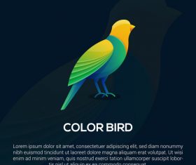 Color bird logo vector