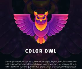 Color owl logo vector