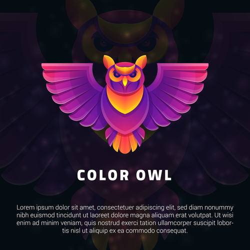 Color owl logo vector