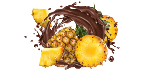 Cut pineapple and splashing chocolate vector