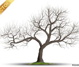 Dead tree vector illustration