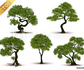 Different shapes of trees vector illustration