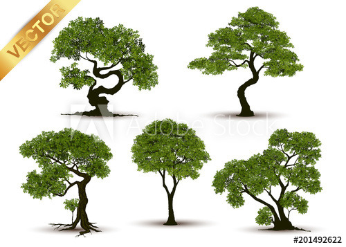 Different shapes of trees vector illustration