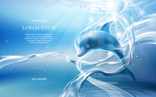 Dolphin background vector
