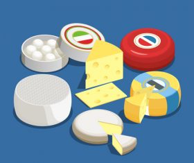 Dry cheese vector
