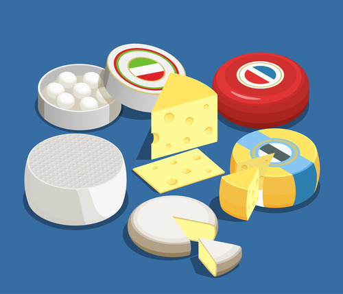Dry cheese vector