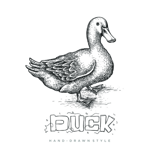 Duck hand drawing illustration black and white vector