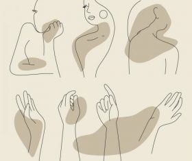 Feminine line art collection vector