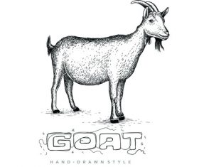 Goat hand drawing illustration black and white vector