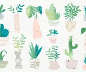 Green botany cactus collection vector