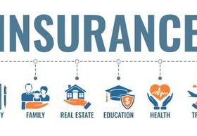 Insurance banner vector