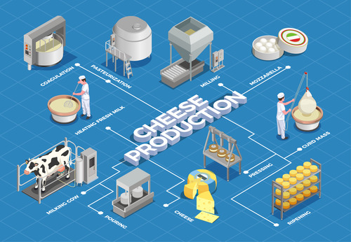 Isometric cheese production illustrates vector