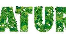 Nature font style blooming grass vector