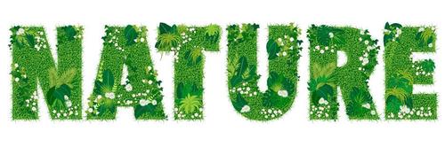 Nature font style blooming grass vector